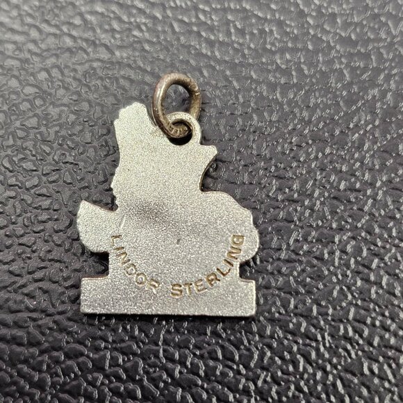 Iowa Hawk Hawkeye Necklace Pendant Bracelet Charm Lindor Sterling - Picture 2 of 4